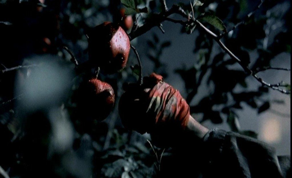 There hasn't been an apple this ominous since Eden. Claire's first vision of the man who will destroy her life.