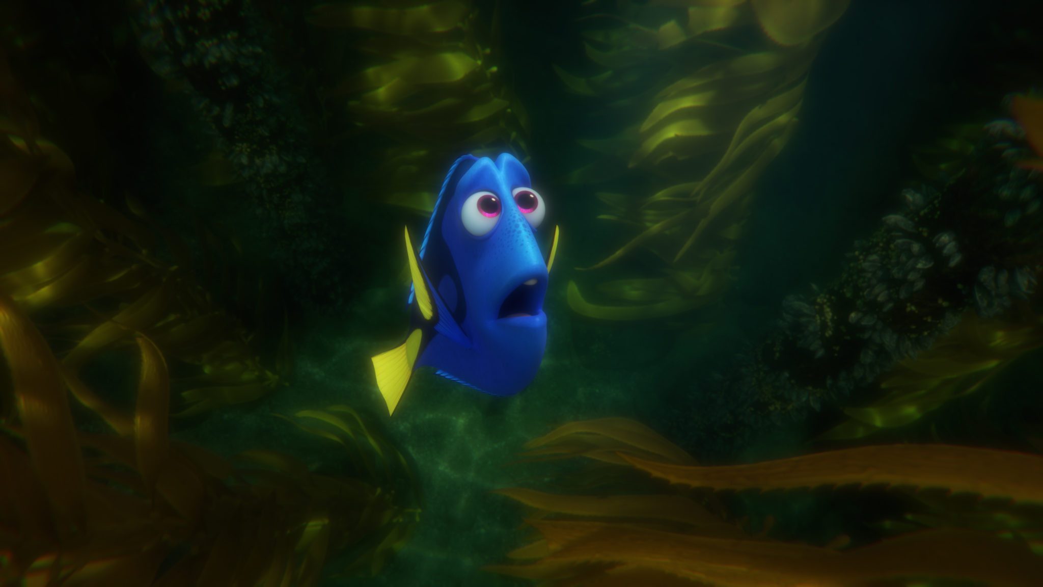 FINDING DORY