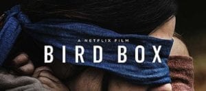 birdboxcover